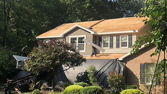 house with bare roof during a roof replacement with trees in the foreground